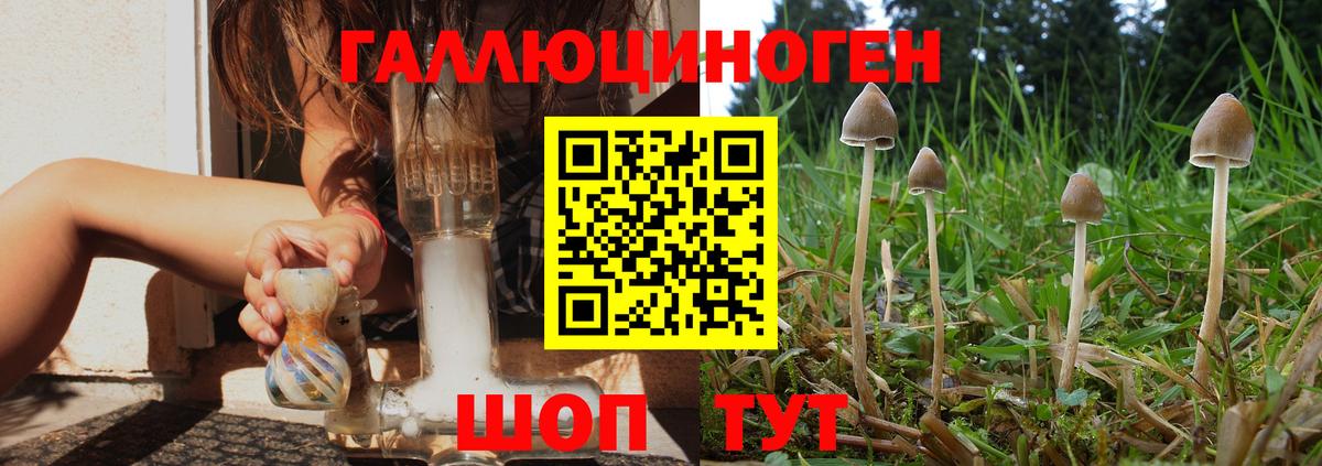Муром  Псилоцибиновые грибы Magic Shrooms  Вход с VPN 